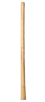 Natural Finish Didgeridoo (TW992)